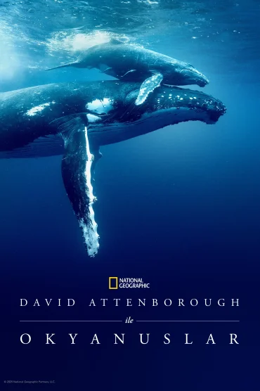 Ocean with David Attenborough izle