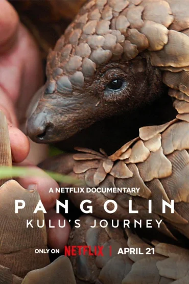 Pangolin: Kulunun Yolculuğu izle