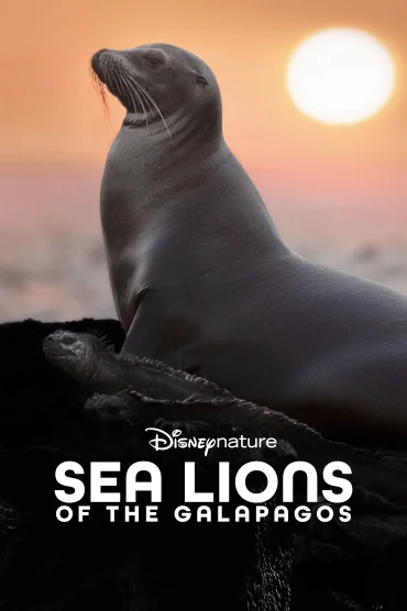 Sea Lions of the Galapagos izle